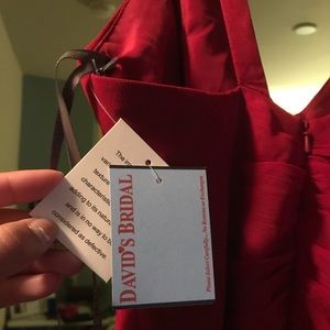 Apple Red Vera Wang dress